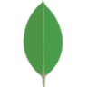 MongoDB